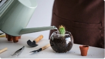 Je dois m’occuper de mes plantes